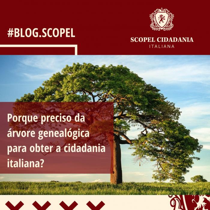 Porque preciso da árvore genealógica para obter a cidadania italiana?